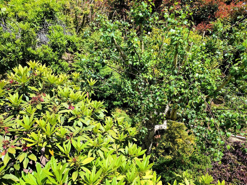 Annie Roes Luxury B&B Bend of Islands Dış mekan fotoğraf