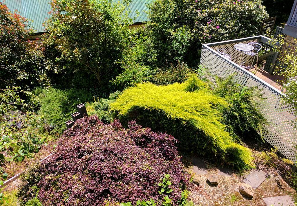 Annie Roes Luxury B&B Bend of Islands Dış mekan fotoğraf